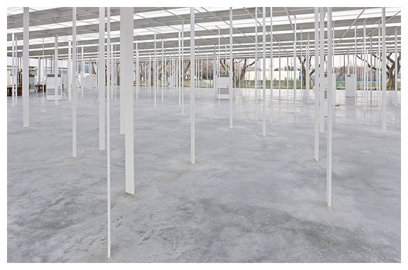 每根柱子都是細扁的長方體，最薄的拉力構件剖面尺寸是16x145mm，最厚的壓力構件則是63x90mm 神奈川工科大學KAIT工房／石上純也 Junya Ishigami