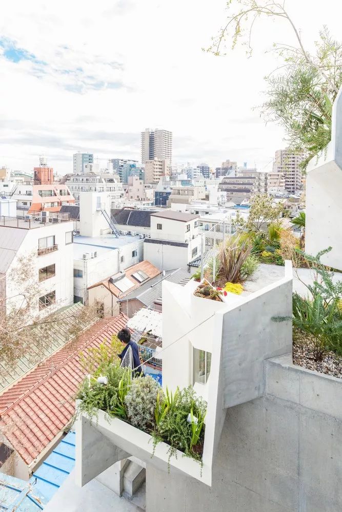 東京森林之家Tree-Ness House/平田晃久