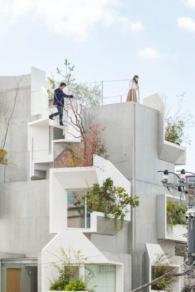東京森林之家Tree-Ness House/平田晃久 「Tree-Ness House」的外觀由多個以清水混凝土打造的方形盒子堆砌在一起,純白色的外觀襯托著建築上栽種的綠色植物