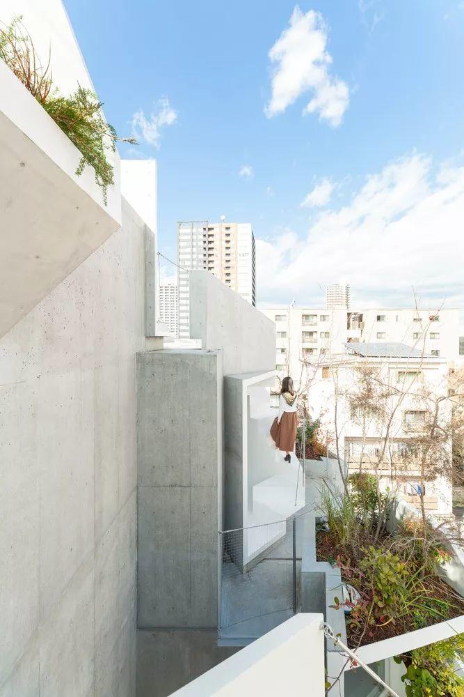 東京森林之家Tree-Ness House/平田晃久
