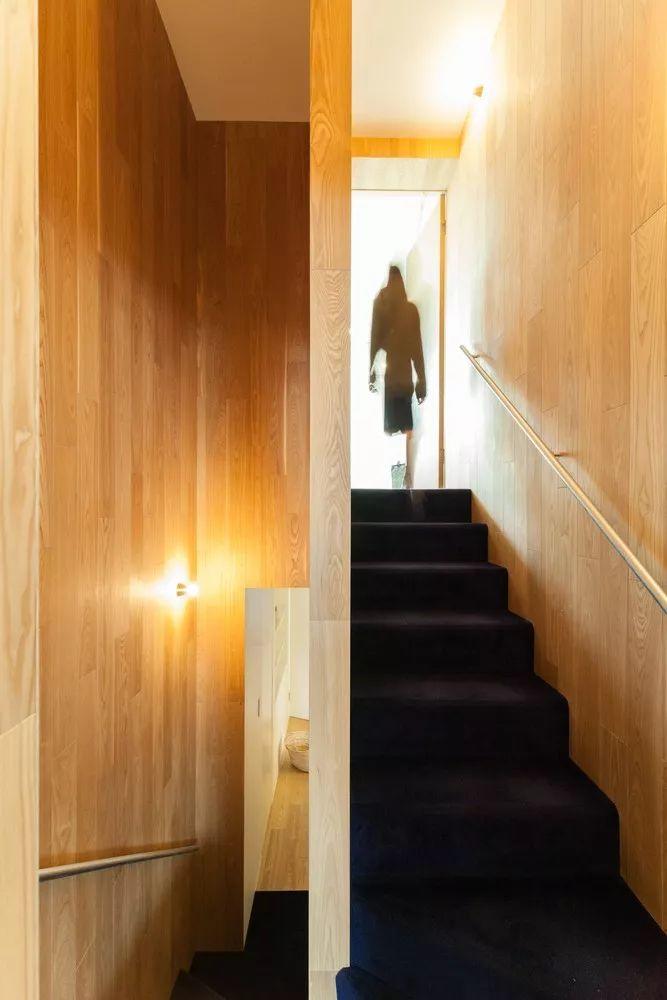 東京森林之家Tree-Ness House/平田晃久