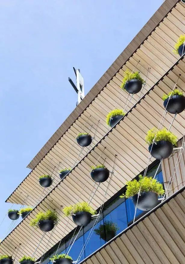 ,隈研吾Kengo Kuma