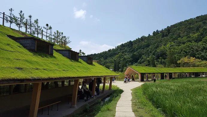 遍植草皮的綠屋頂,La Collina/藤森照信