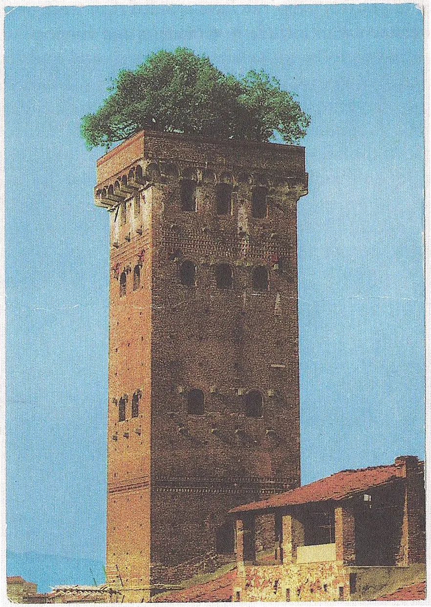 圭尼吉塔上的橡樹，盧卡Oak Tree on Guinigi Tower, Lucca