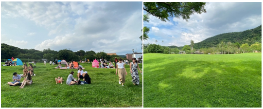 各國之研究已證實「公園綠地」具有多面向之生態、生活、生產與心靈療愈之功能。而營造「健康環境」更是今日景觀專業者之新使命。郭瓊瑩攝