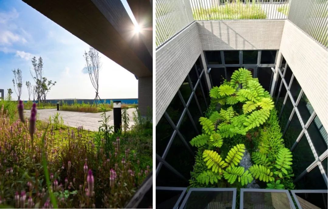 光隆物流研發中心／林祺錦建築師事務所