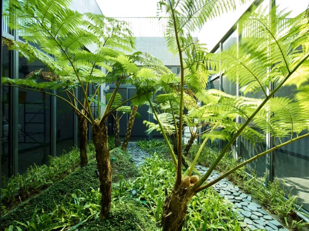 光隆物流研發中心／林祺錦建築師事務所