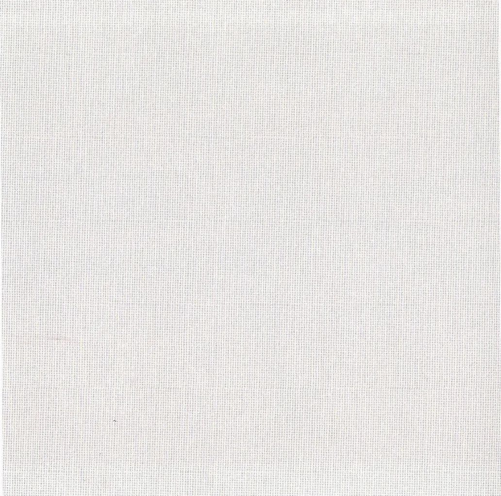 我不害怕白紙綜合症。I am not afraid of the white page syndrome.