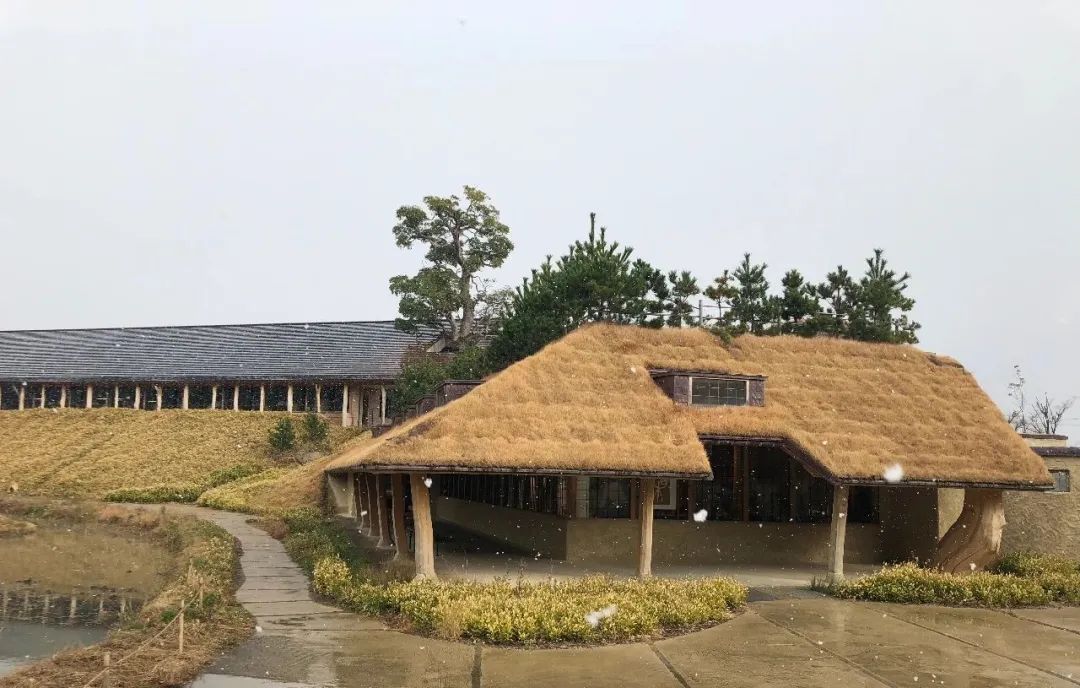 栗百本
