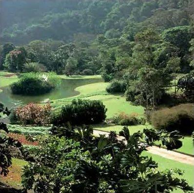 巴西庭院，博勒·馬克思 天堂。 Garden in Brazil, Burle Marx；The paradise.