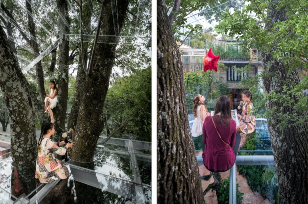 墨西哥水晶樹屋Crystal Treehouse／Broissin