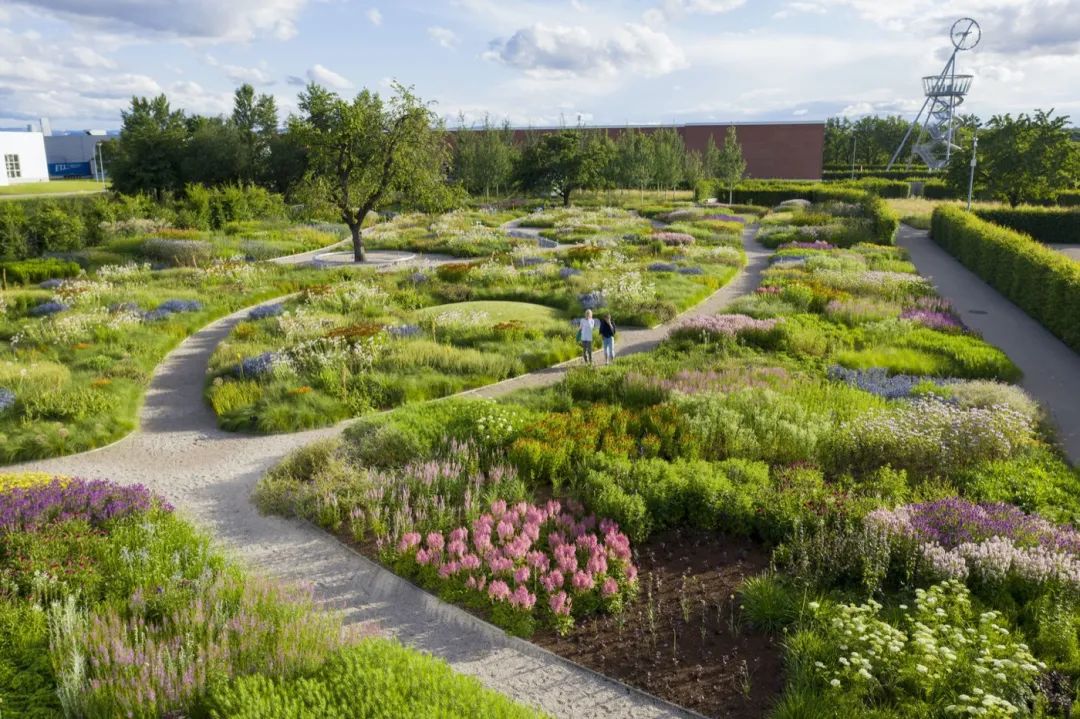 Vitra Oudolf Garten景觀園林/Piet Oudolf