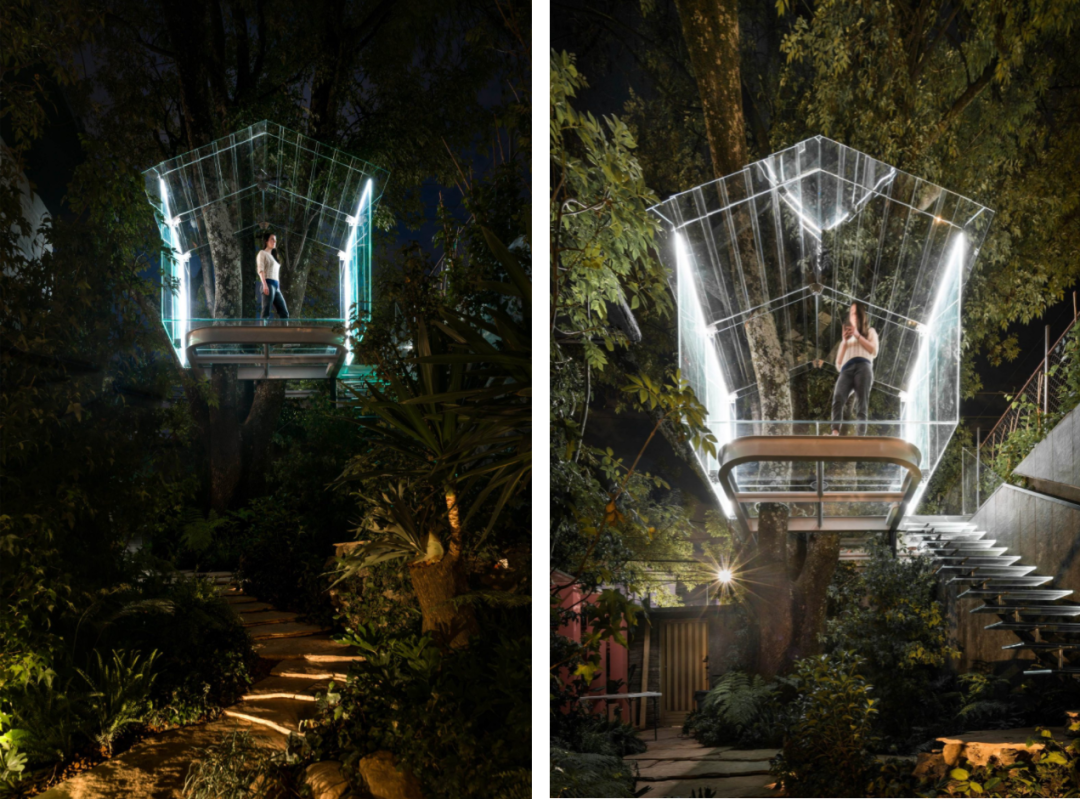 墨西哥水晶樹屋Crystal Treehouse／Broissin