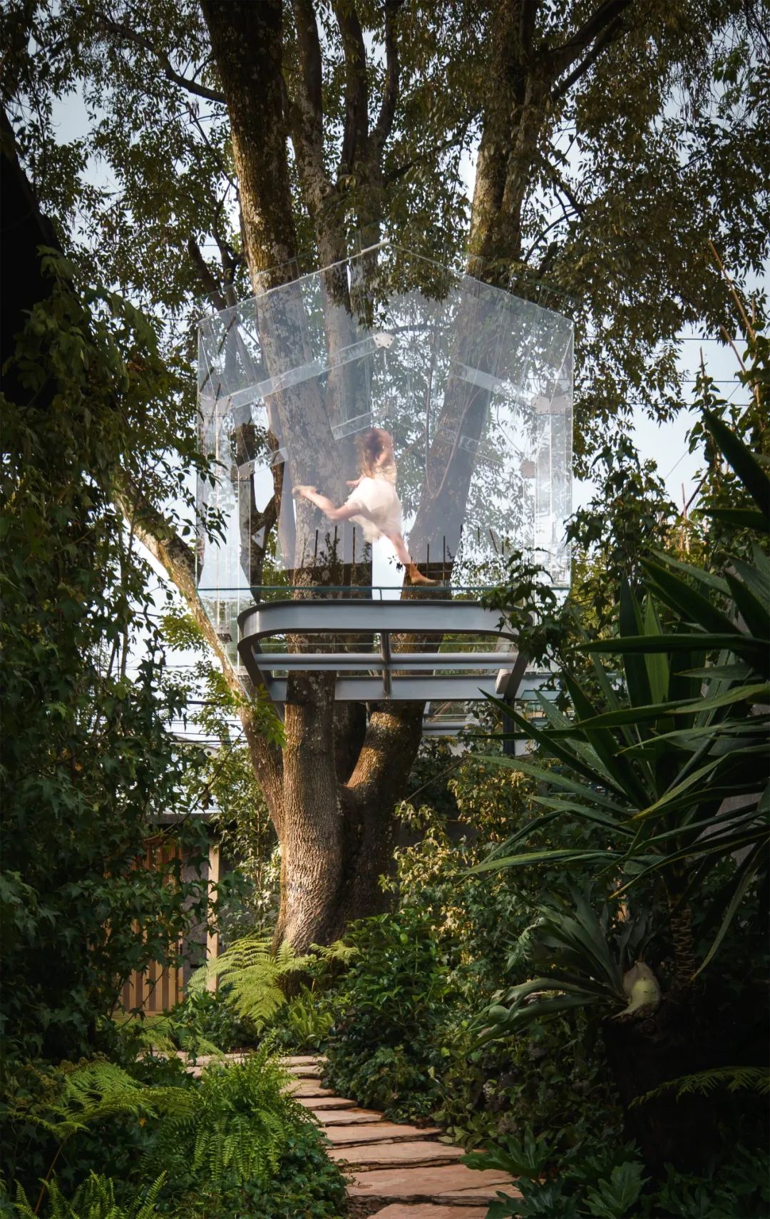 墨西哥水晶樹屋Crystal Treehouse／Broissin