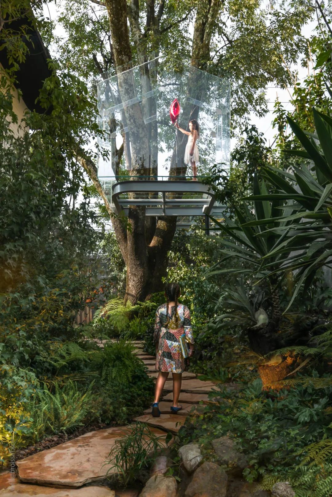 墨西哥水晶樹屋Crystal Treehouse／Broissin