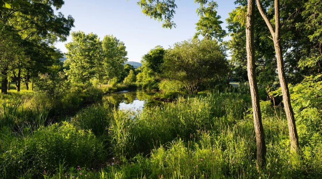 Scenic Hudson's Long Dock Park公園景觀設計   地點：美國，紐約  設計建造期間：2004-2019  合作方：Scenic Hudson Land Trust；Architecture Research Office (ARO)