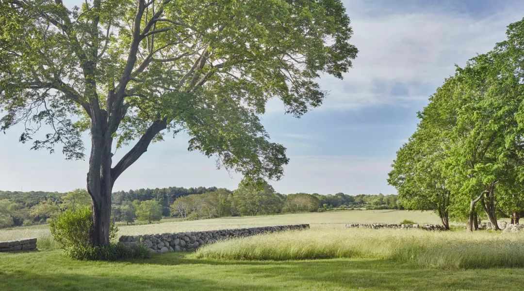 ，美國景觀設計師 Reed Hilderbrand landscape architect designer 