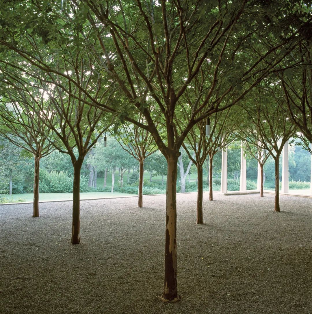 美國達拉斯Beck House景觀設計 landscape design garden Dallas USA