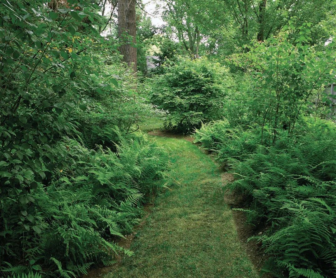 ，美國景觀設計師 Reed Hilderbrand landscape architect designer 