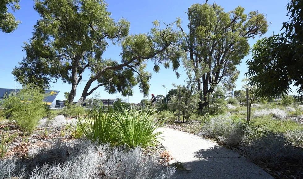 澳州伯斯社區公園景觀建築設計 Australia Perth Landscape Architecture Design Lathlain Park Community Zones/ REALMstudios + Urbis