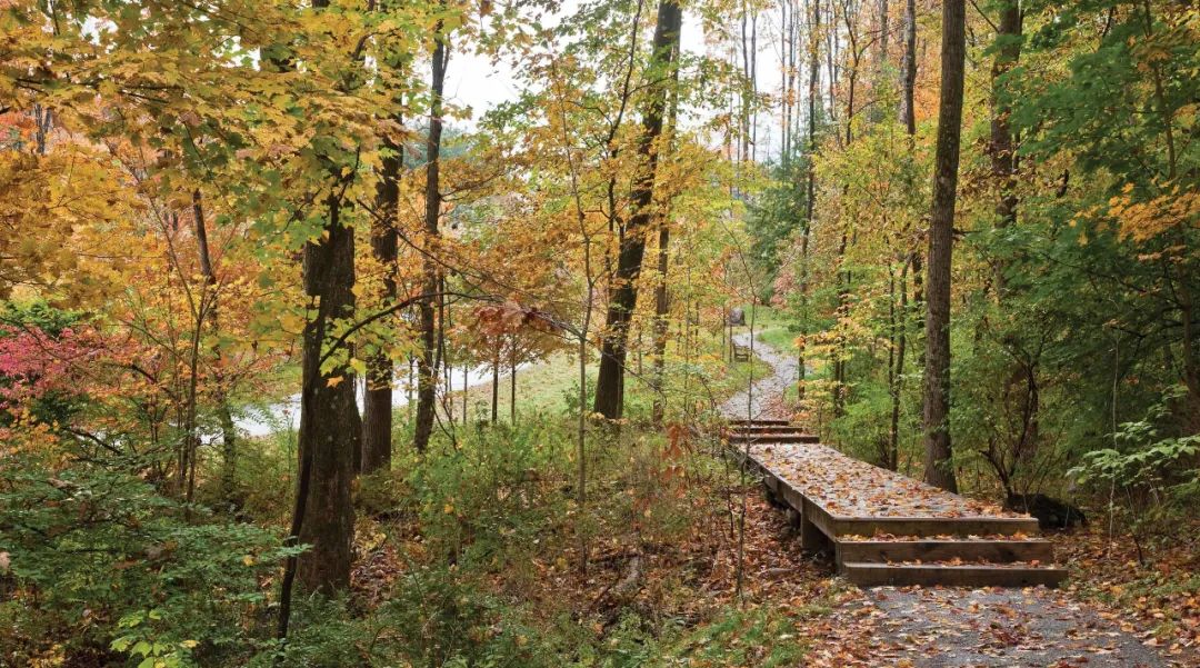 ，美國景觀設計師 Reed Hilderbrand landscape architect designer 