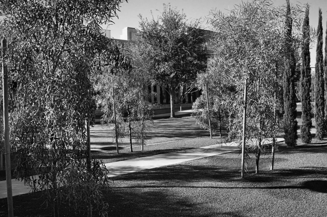 ，美國景觀設計師 Reed Hilderbrand landscape architect designer 