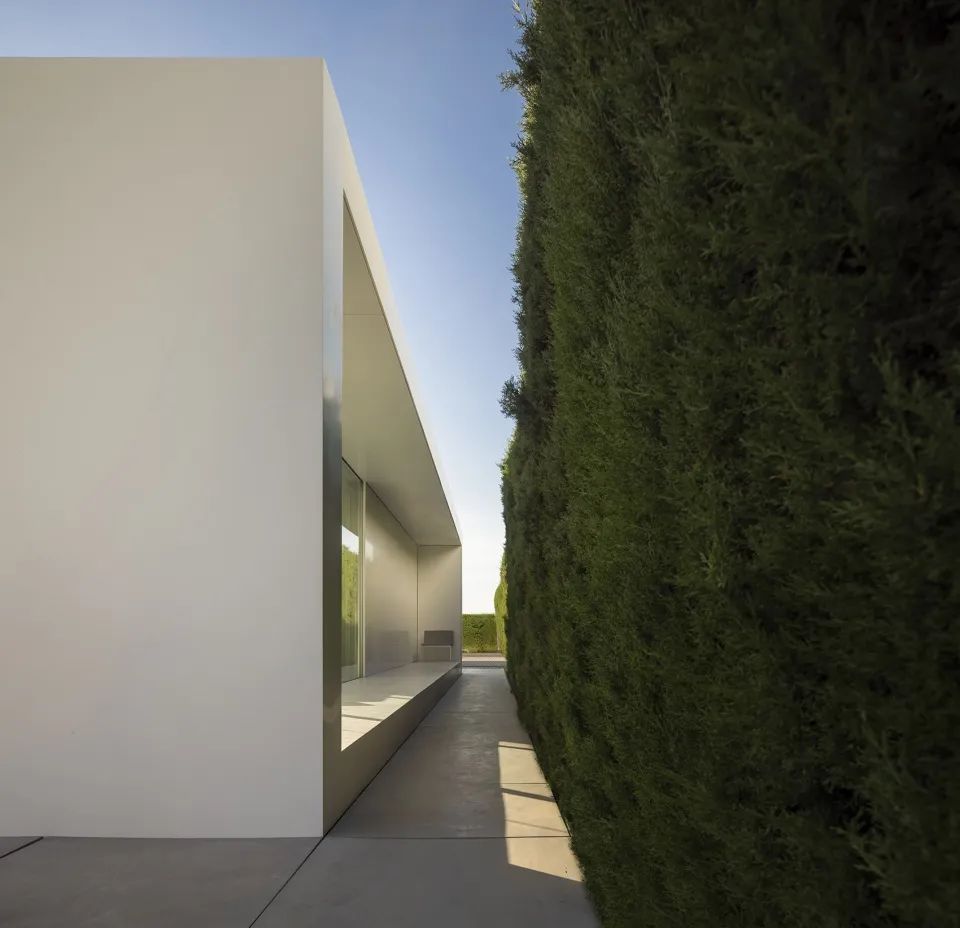 建築背面與種植牆面相對 西班牙住宅計畫NIU70／Fran Silvestre Arquitectos