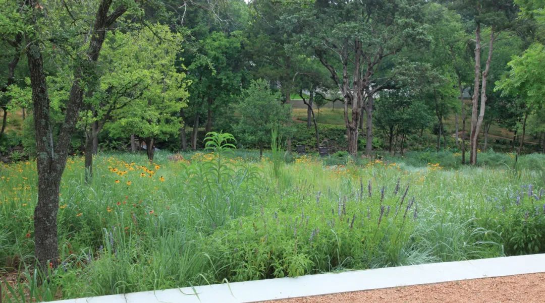 ，美國景觀設計師 Reed Hilderbrand landscape architect designer 