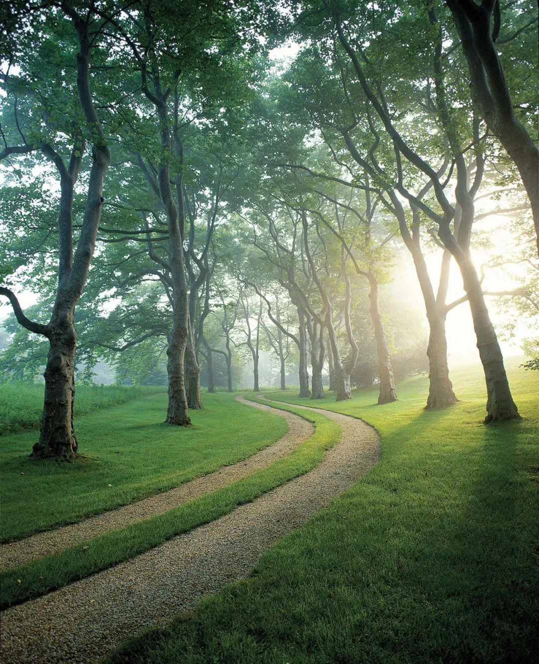 ，美國景觀設計師 Reed Hilderbrand landscape architect designer 