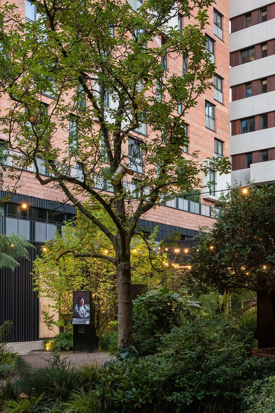 充滿綠色植栽的空間 英國曼徹斯特 Manchaster KAMPUS集合住宅 公寓 Apartments／Mecanoo