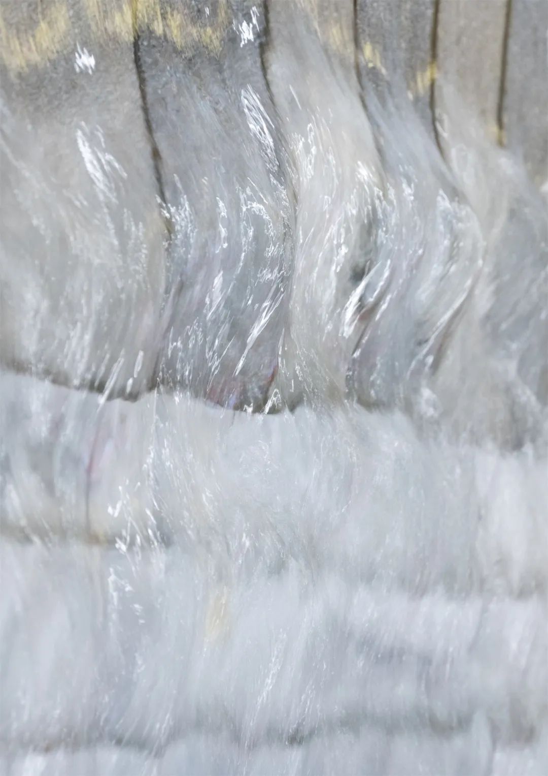 泰國曼谷Megabangna購物中心溪谷步道親水空間景觀設計 Stream Valley at Mega Foodwalk landscape architecture design／Landscape Collaboration