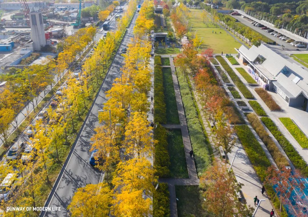 徐匯跑道公園／Sasaki