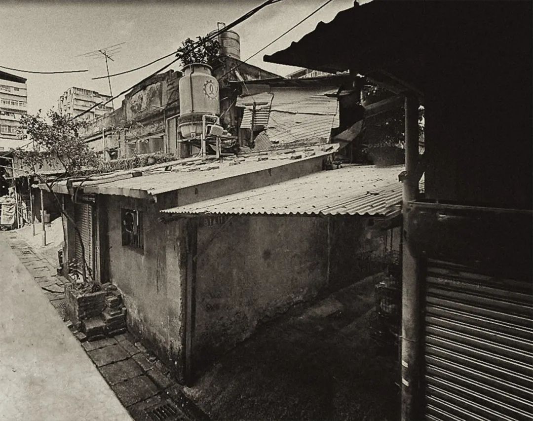 新富町文化市場／林友寒 Behet Bondzio Lin Architekten