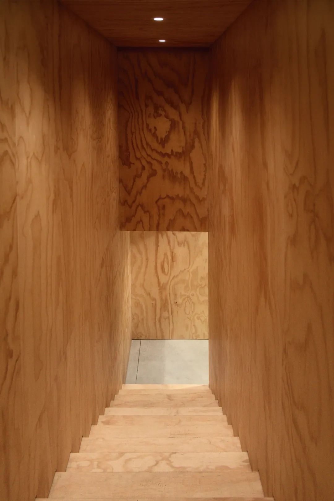 新富町文化市場／林友寒 Behet Bondzio Lin Architekten