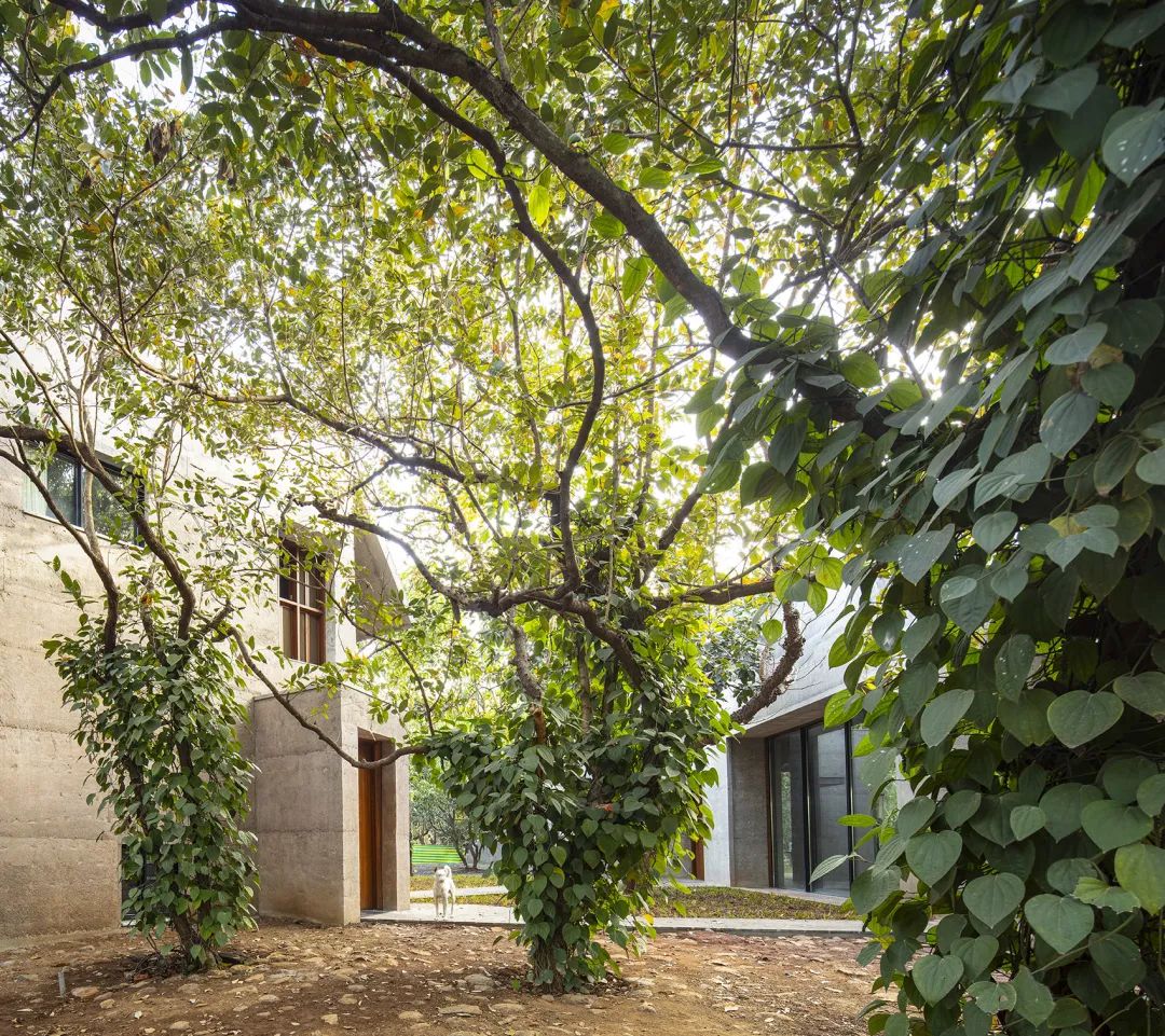 印度混凝土實驗住宅 India House of Concrete Experiments／Samira Rathod Design Atelier
