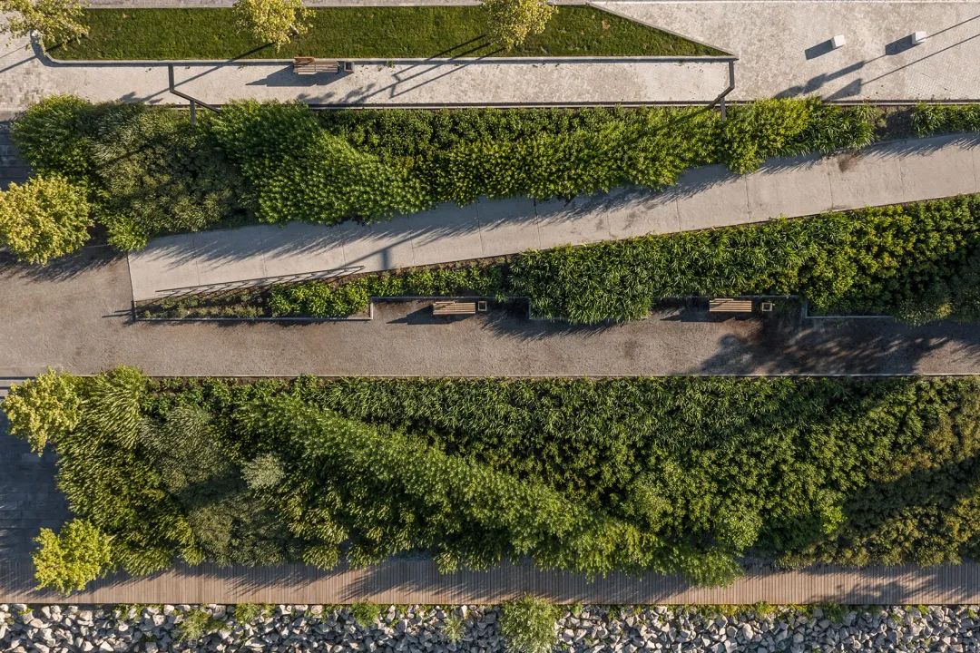 茂密且層次豐富的生態綠廊