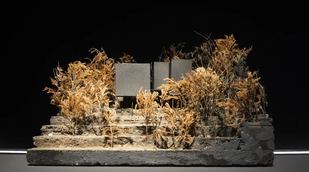 曾志偉、自然洋行建築師事務所作品展