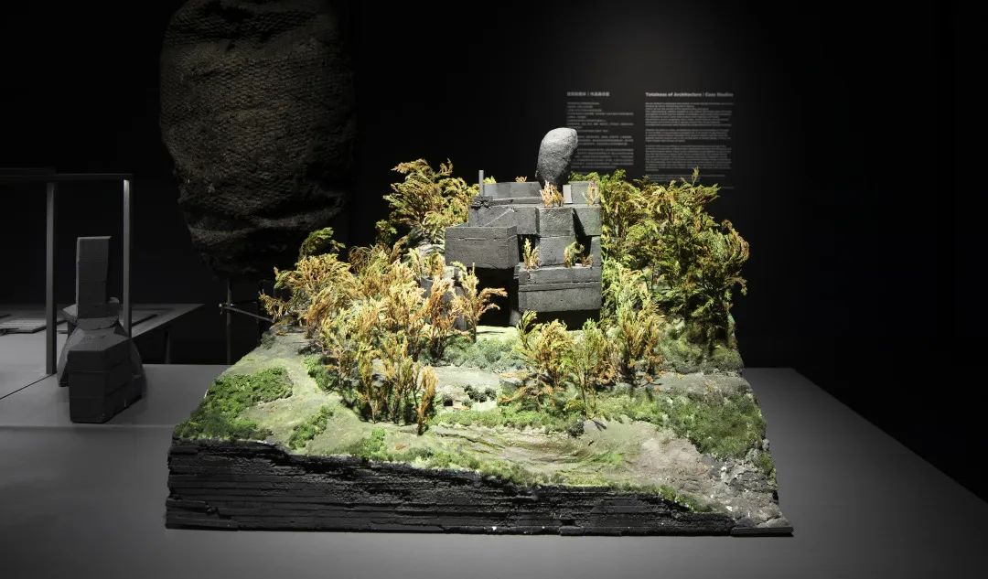 曾志偉、自然洋行建築師事務所作品展