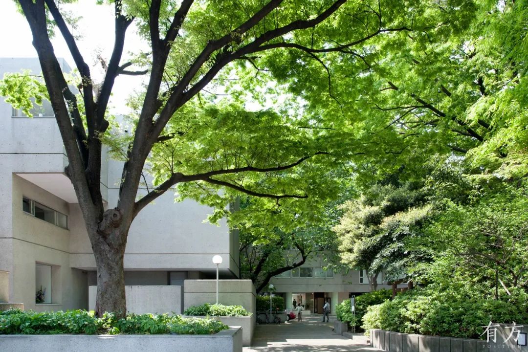 左為C棟，右邊可以看見猿樂塚入口。攝影：夏至