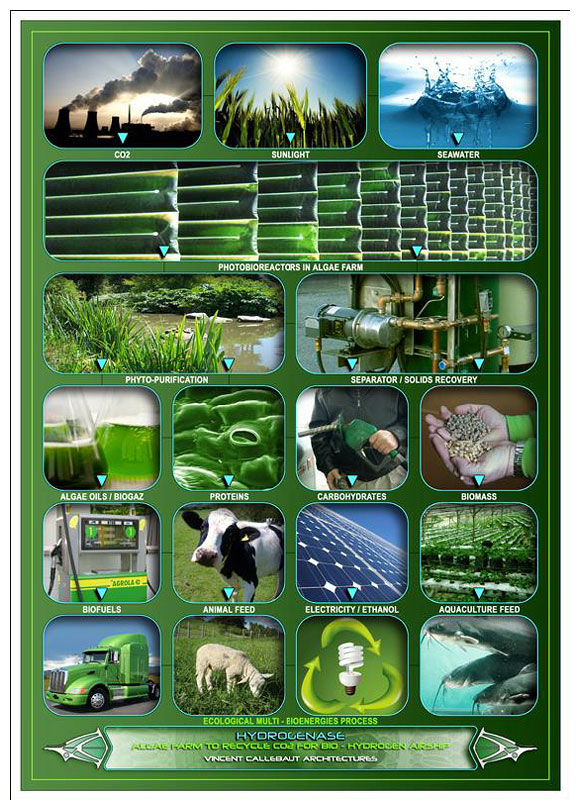 Hydrogenase 飛行生態建築體所倚賴的綠藻農場(Algae Farm)養分供給示意圖