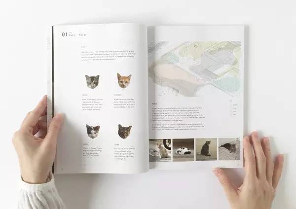 HABIT©AT 願每一隻流浪貓都有棲息之地  作者&設計：Atelier HOKO  出版社：Math Paper Press
