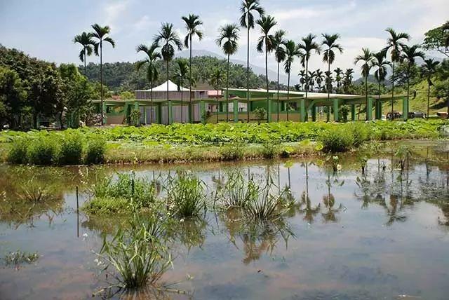 阪茂（Shigeru Ban）紙教堂旁的南投桃米生態園區／邱文傑建築師