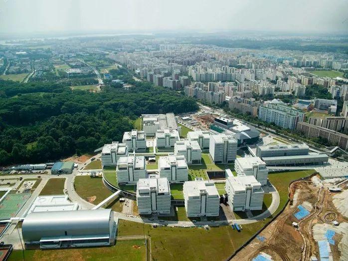 新加坡共和理工大學校區（Republic Polytechnic）建於2007年，同樣採取了集群形態，現代風格的建築與現有地形並存，在12座建築之間有兩塊橢圓形的公共空間，如同豆莢一樣將不同功能的建築連接起來。