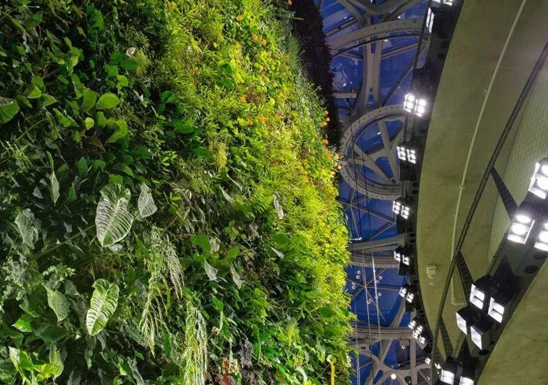 亞馬遜新總部正式開放，用40億美元建了三顆生態球