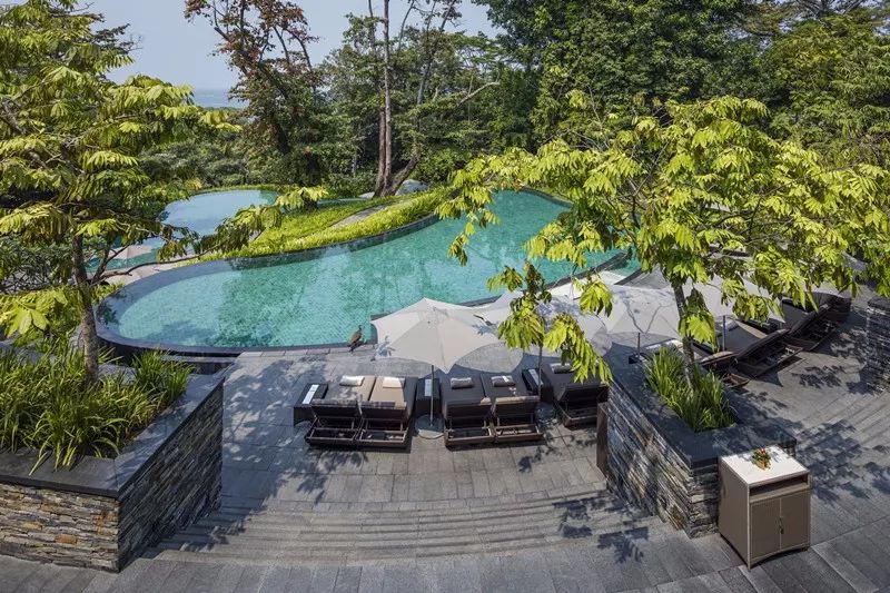 酒店露天游泳池 outdoor swimming pool hotel Capella Singapore 新加坡嘉佩樂