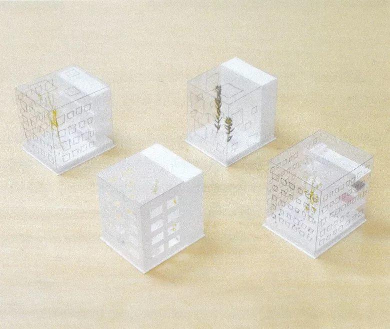 直至房子建成之前，我的設計從未停止丨長谷川豪的建築譜系與工作方法