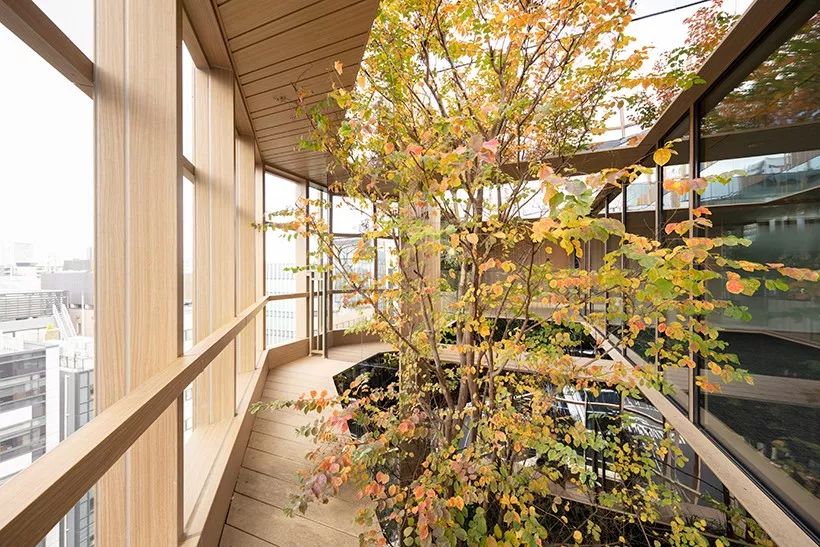 東京辦公大樓Kojimachi Terrace╱佐藤大 Nendo