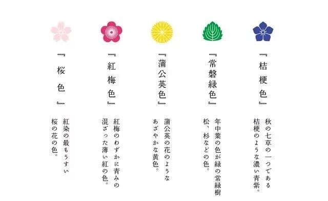 TRINUS-花鉛筆HUNA