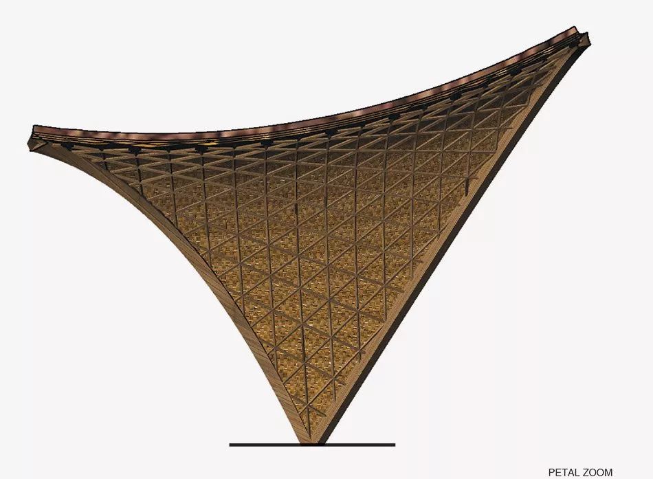 墨西哥竹構造 Mexico Bamboo Strcture LUUM Temple╱CO-LAB Design Office