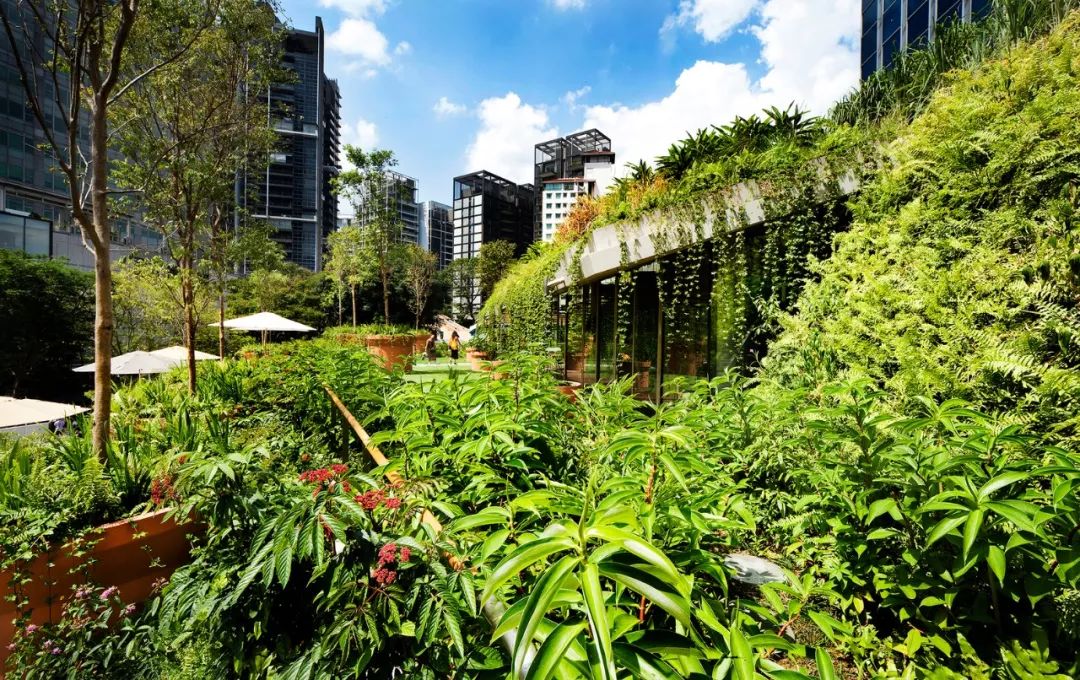 新加坡「設計‧烏節 Design Orchard」 ╱WOHA建築師事務所